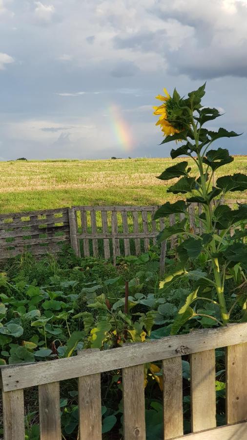 Camping La Petite Houmee Curzay-sur-Vonne Exteriér fotografie